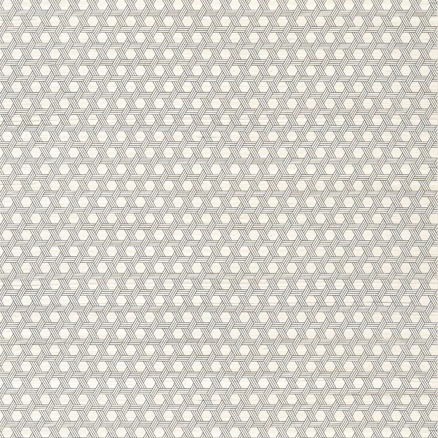 Pergola wallpaper in black color - pattern number T12807 - by Thibaut in the Modern Resource Volume 3 collection