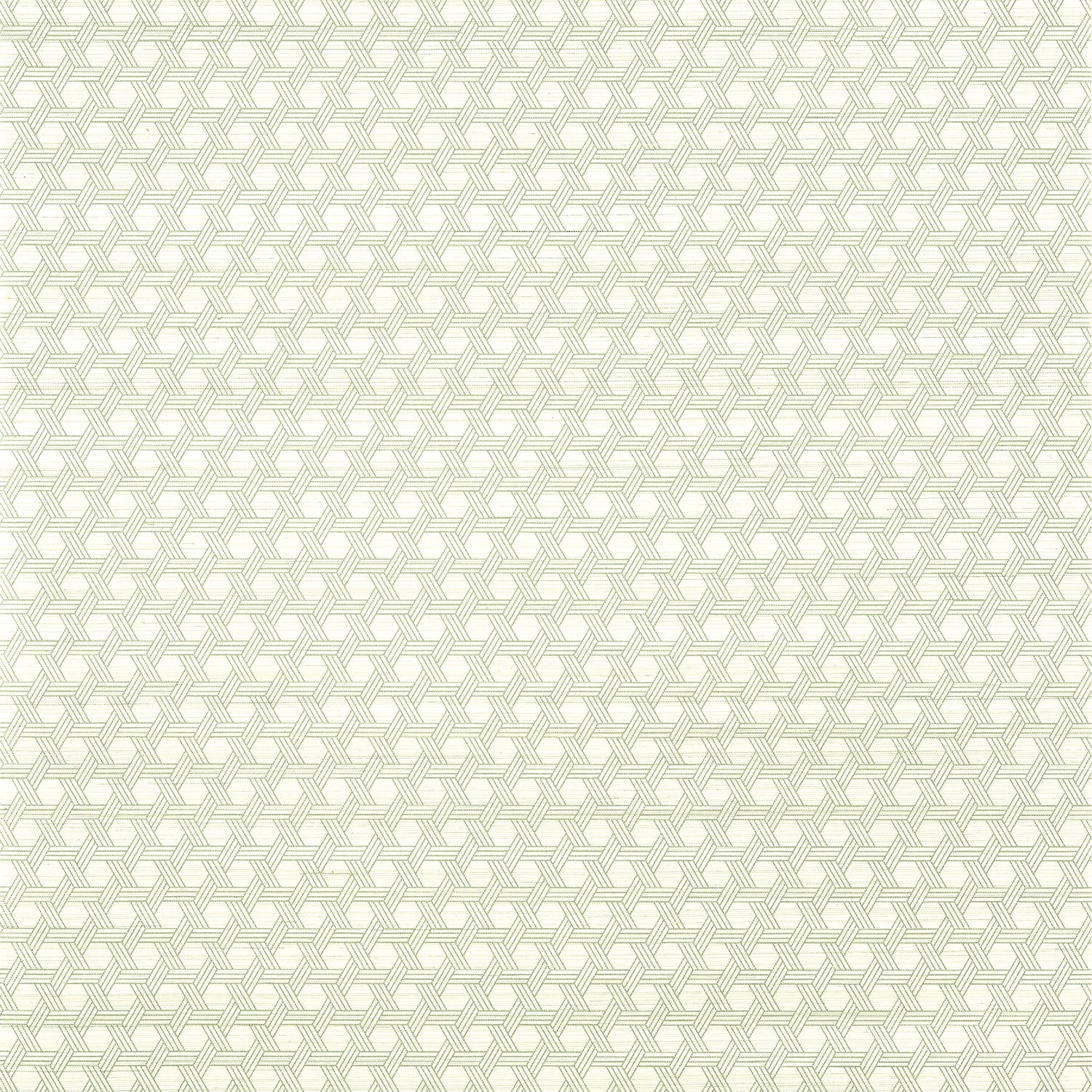 Pergola wallpaper in green color - pattern number T12809 - by Thibaut in the Modern Resource Volume 3 collection