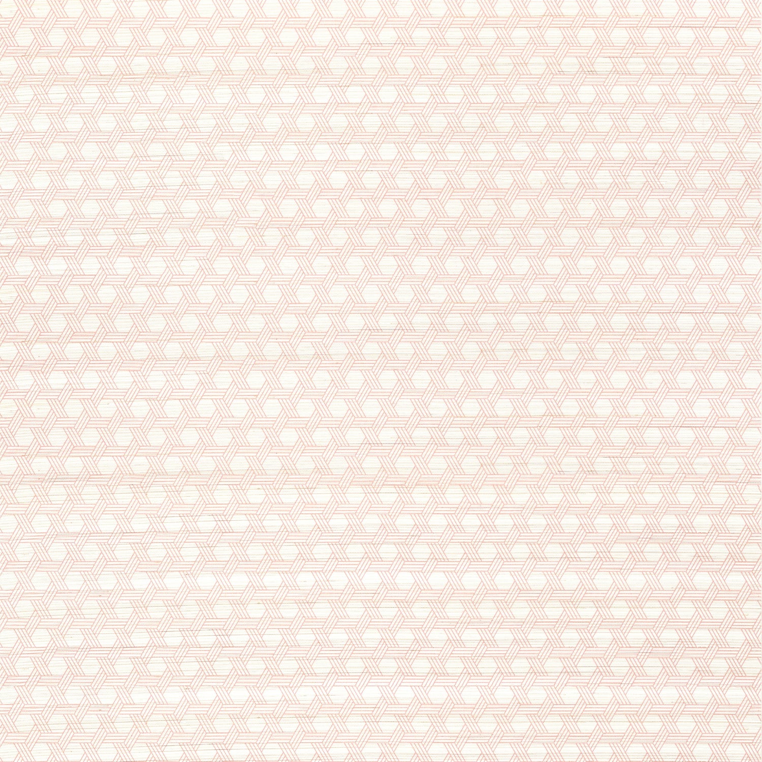 Pergola wallpaper in blush color - pattern number T12810 - by Thibaut in the Modern Resource Volume 3 collection