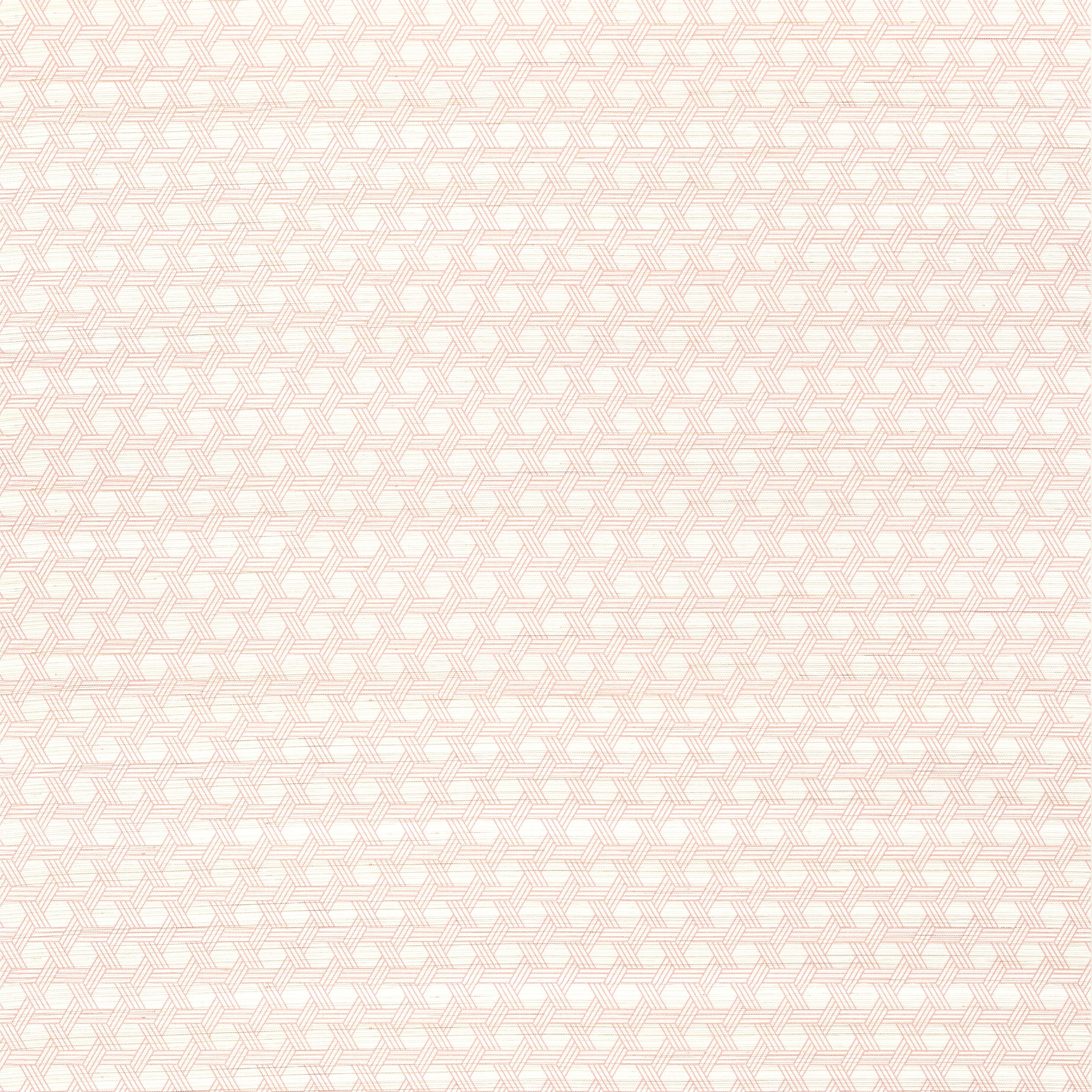 Pergola wallpaper in blush color - pattern number T12810 - by Thibaut in the Modern Resource Volume 3 collection