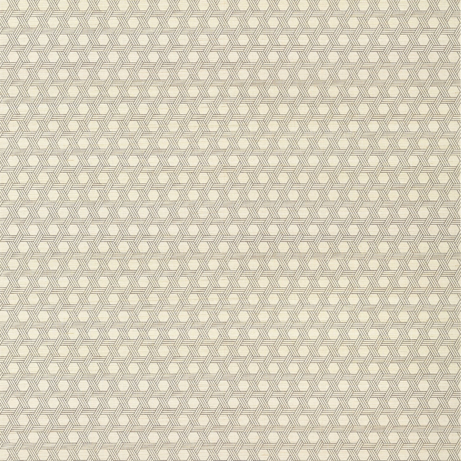 Pergola wallpaper in brown color - pattern number T12811 - by Thibaut in the Modern Resource Volume 3 collection
