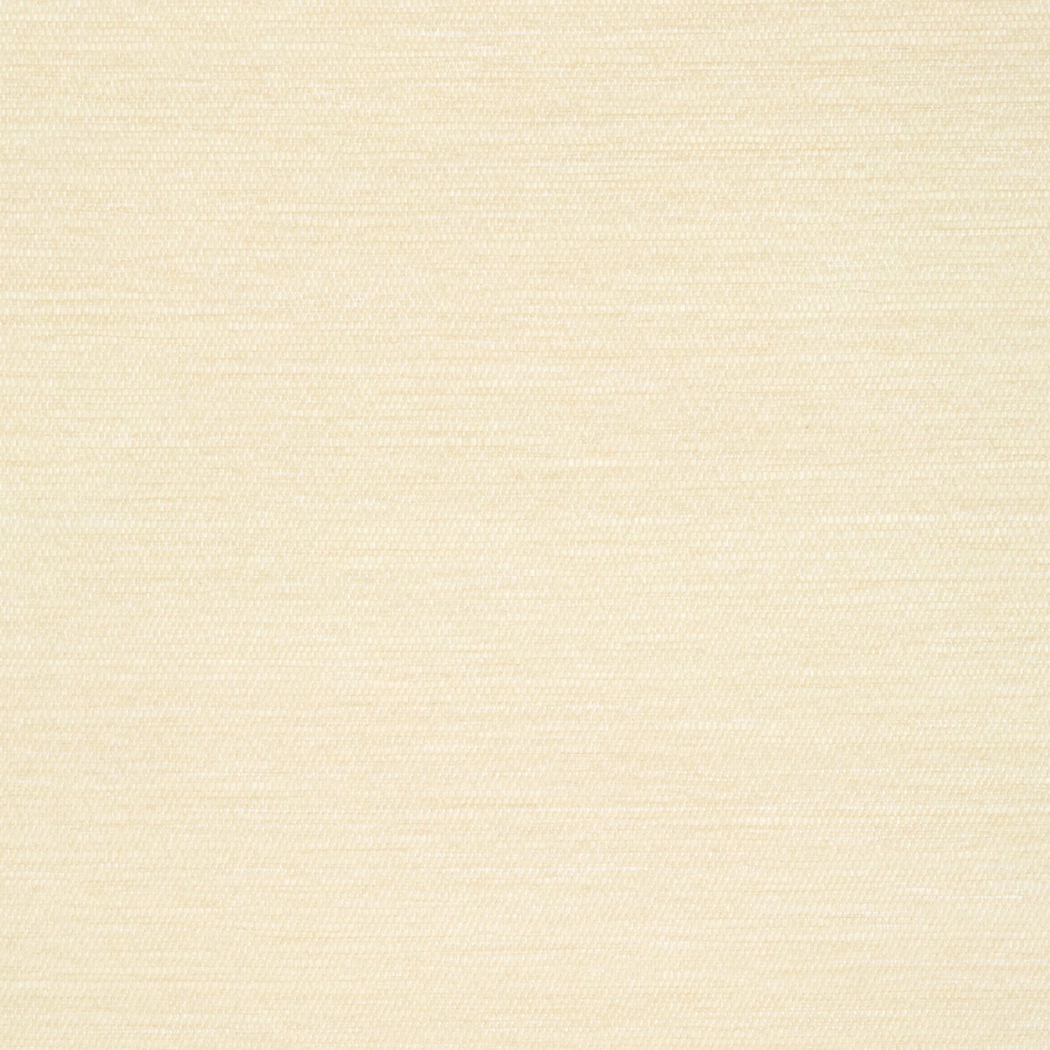 Surfrider wallpaper in cream color - pattern number T13111 - by Thibaut in the Summer House collection
