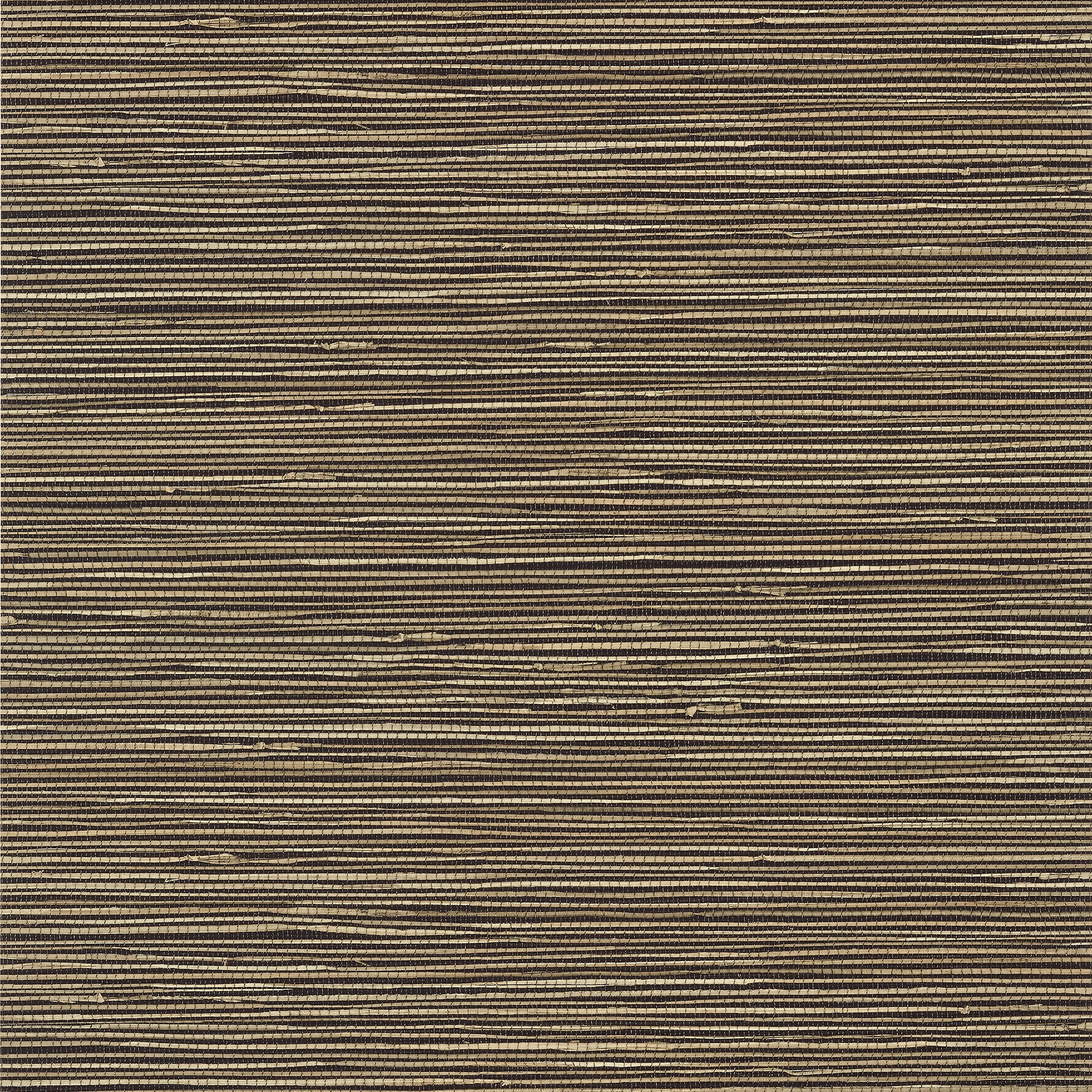 St Thomas wallpaper in black color - pattern number T13347 - by Thibaut in the Pavilion collection