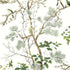 Katsura fabric in green and white color - pattern number T13621 - by Thibaut in the Grand Palace collection