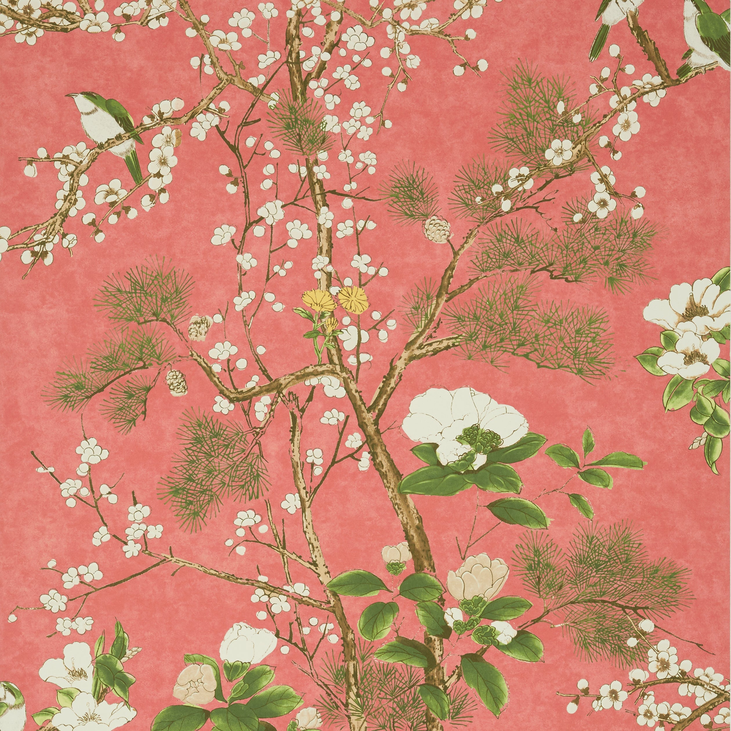 Katsura fabric in coral color - pattern number T13624 - by Thibaut in the Grand Palace collection