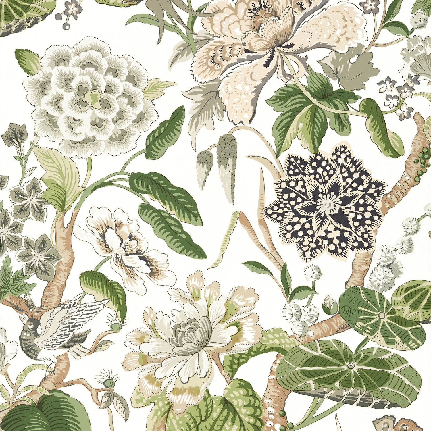 Hill Garden wallpaper in white and green color - pattern number T13656 - by Thibaut in the Grand Palace collection