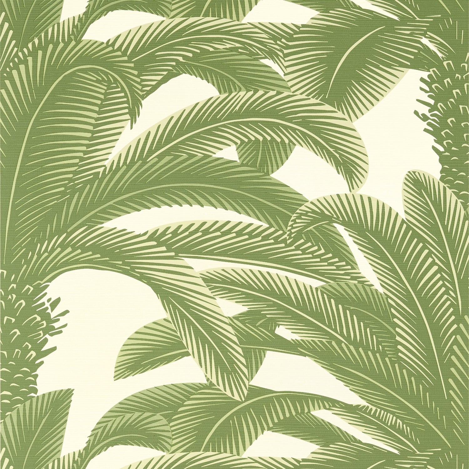 Queen Palm fabric in sage color - pattern number T13911 - by Thibaut in the Palm Grove collection
