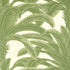Queen Palm fabric in sage color - pattern number T13911 - by Thibaut in the Palm Grove collection