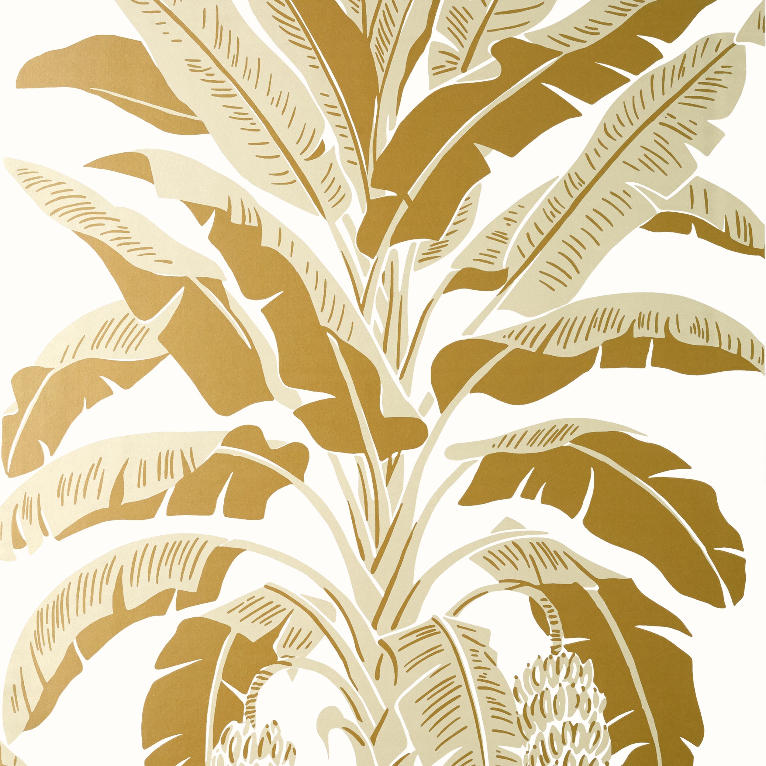 Banana Tree fabric in metallic gold color - pattern number T13919 - by Thibaut in the Palm Grove collection
