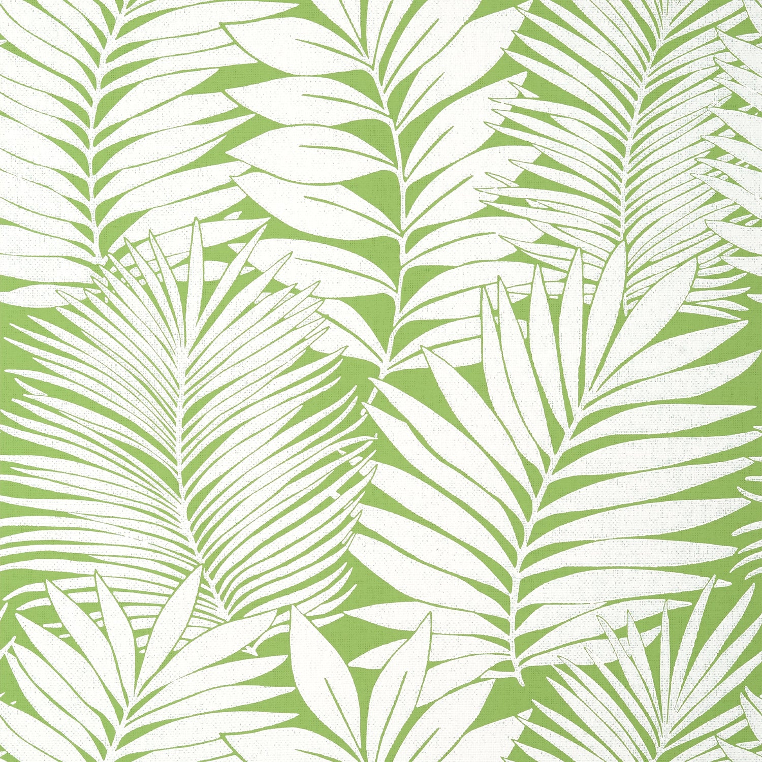 Siesta Key wallpaper in green color - pattern number T13927 - by Thibaut in the Palm Grove collection
