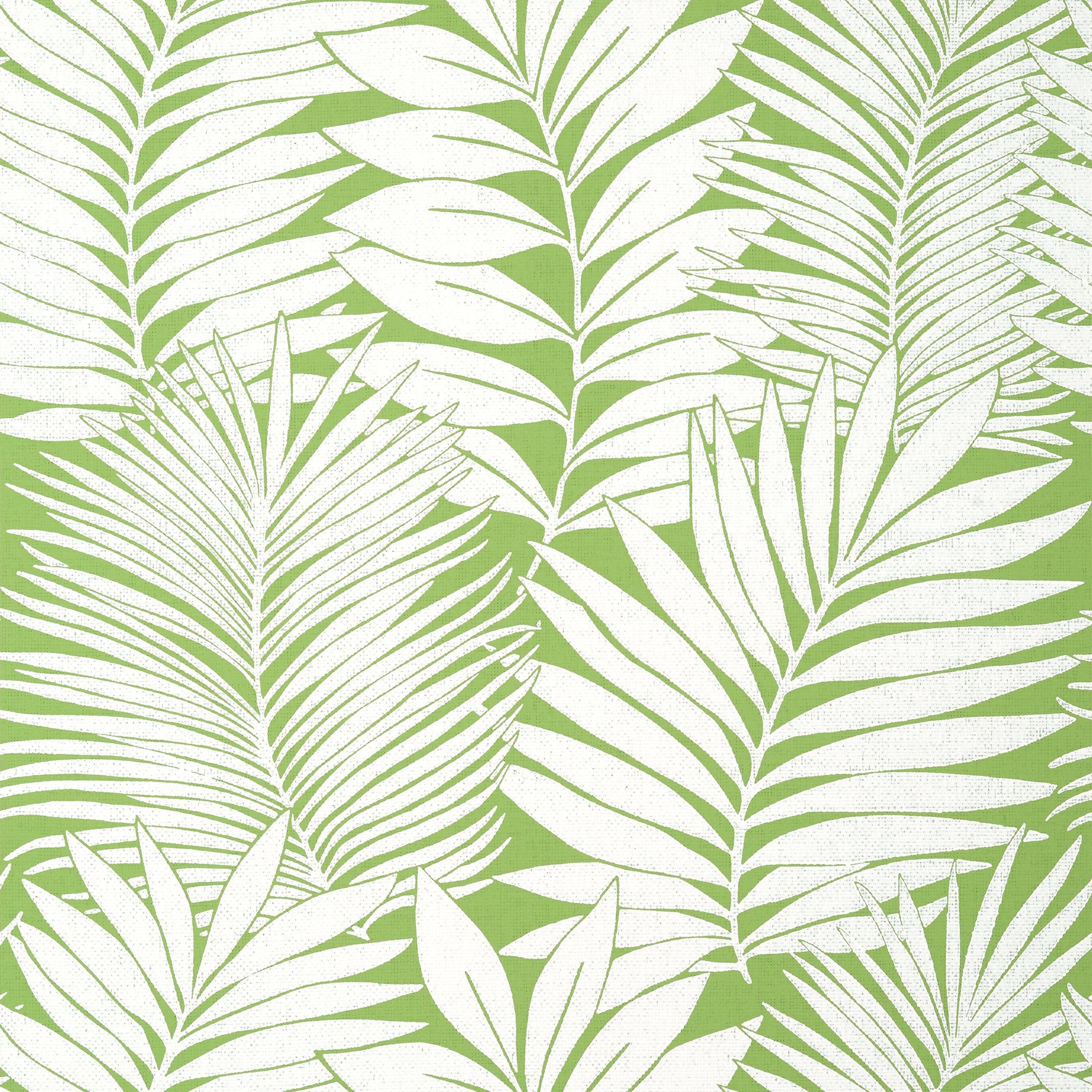 Siesta Key wallpaper in green color - pattern number T13927 - by Thibaut in the Palm Grove collection