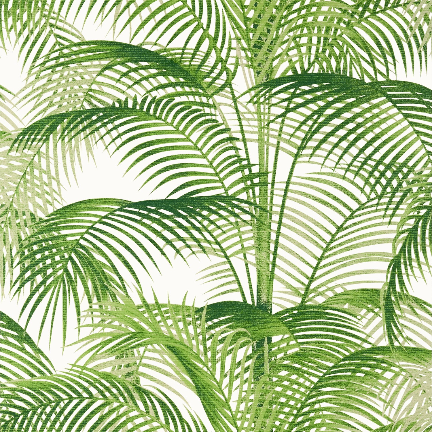 Delray fabric in green color - pattern number T13938 - by Thibaut in the Palm Grove collection