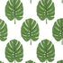 Monstera wallpaper in green color - pattern number T13952 - by Thibaut in the Palm Grove collection