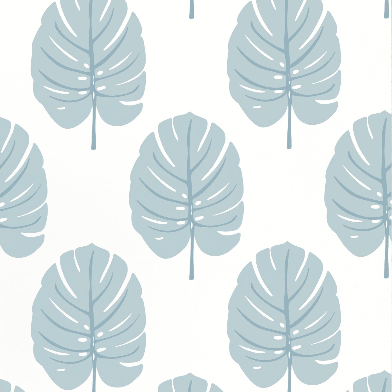 Monstera wallpaper in spa blue color - pattern number T13954 - by Thibaut in the Palm Grove collection