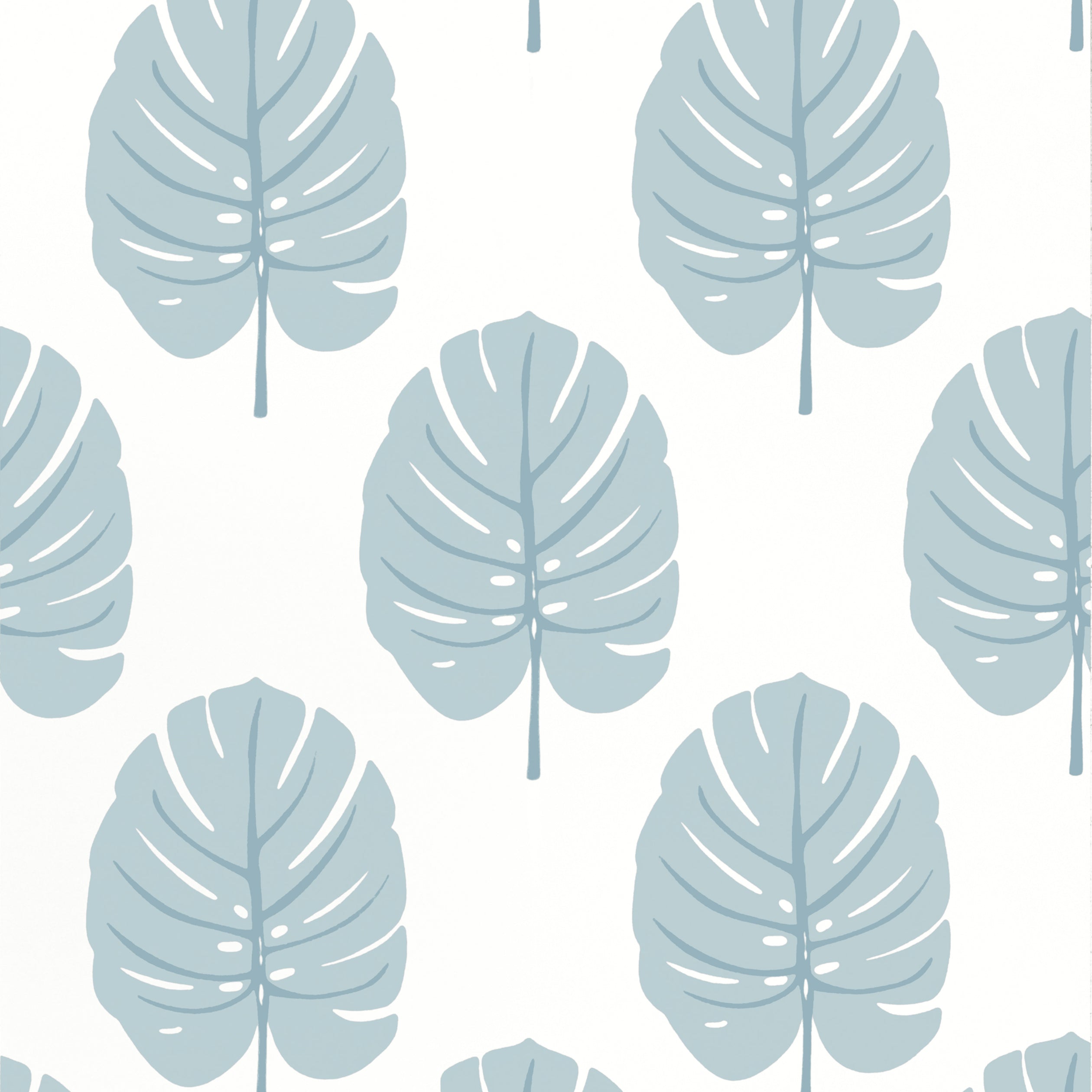 Monstera wallpaper in spa blue color - pattern number T13954 - by Thibaut in the Palm Grove collection