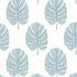 Monstera wallpaper in spa blue color - pattern number T13954 - by Thibaut in the Palm Grove collection