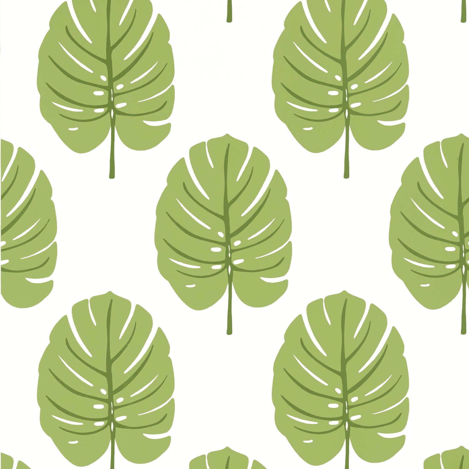 Monstera wallpaper in apple green color - pattern number T13955 - by Thibaut in the Palm Grove collection