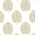 Monstera wallpaper in beige color - pattern number T13956 - by Thibaut in the Palm Grove collection