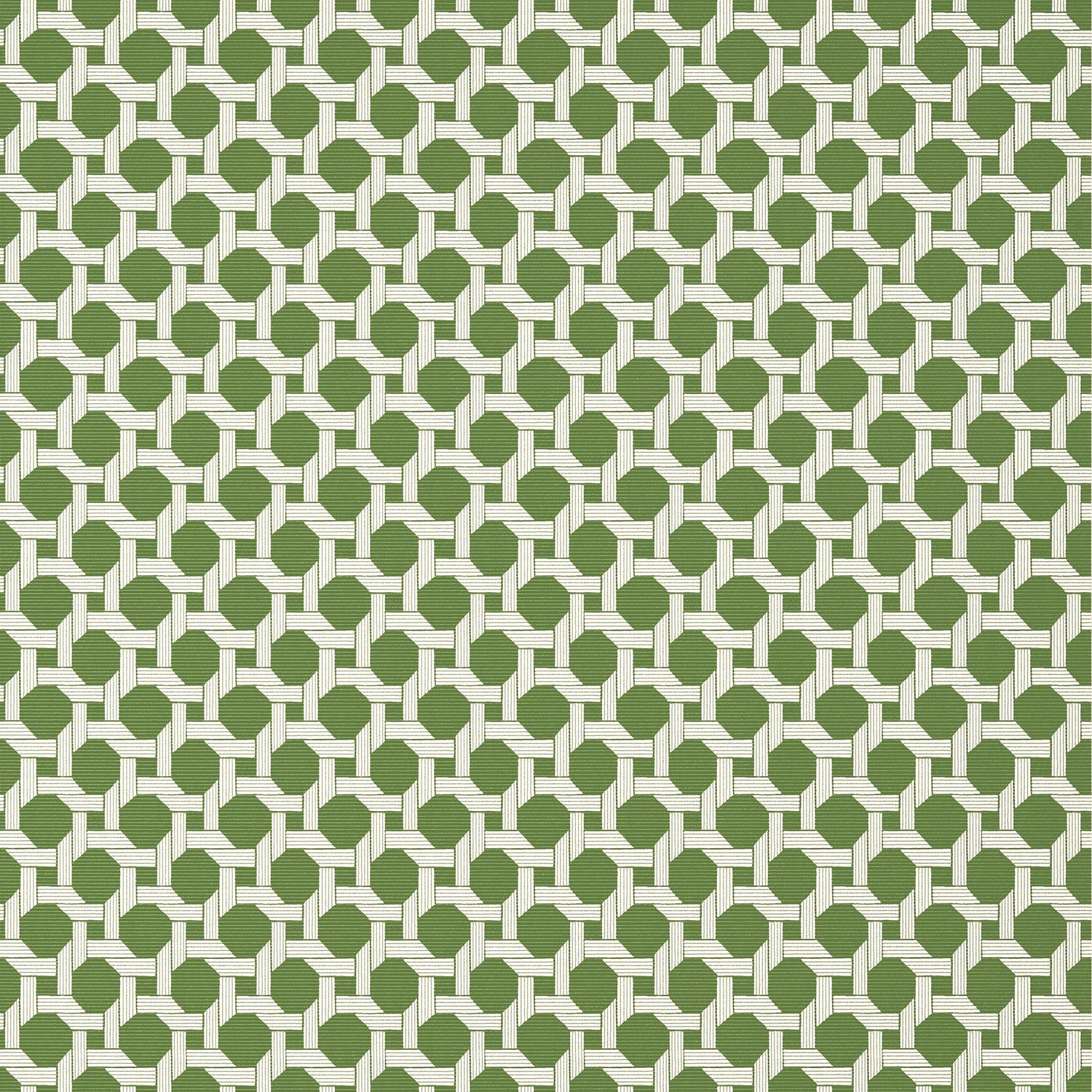 Charter wallpaper in green color - pattern number T13957 - by Thibaut in the Palm Grove collection