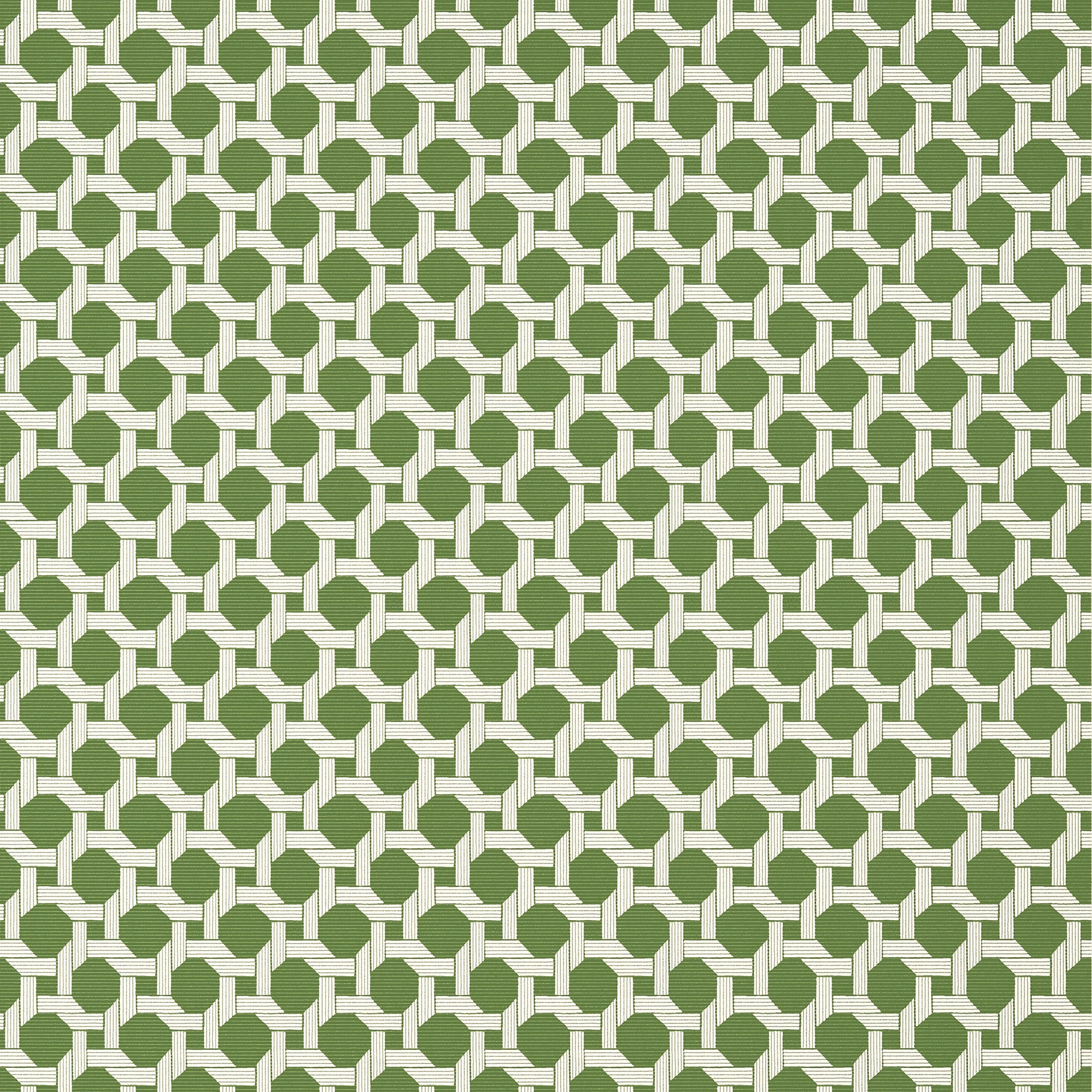 Charter wallpaper in green color - pattern number T13957 - by Thibaut in the Palm Grove collection
