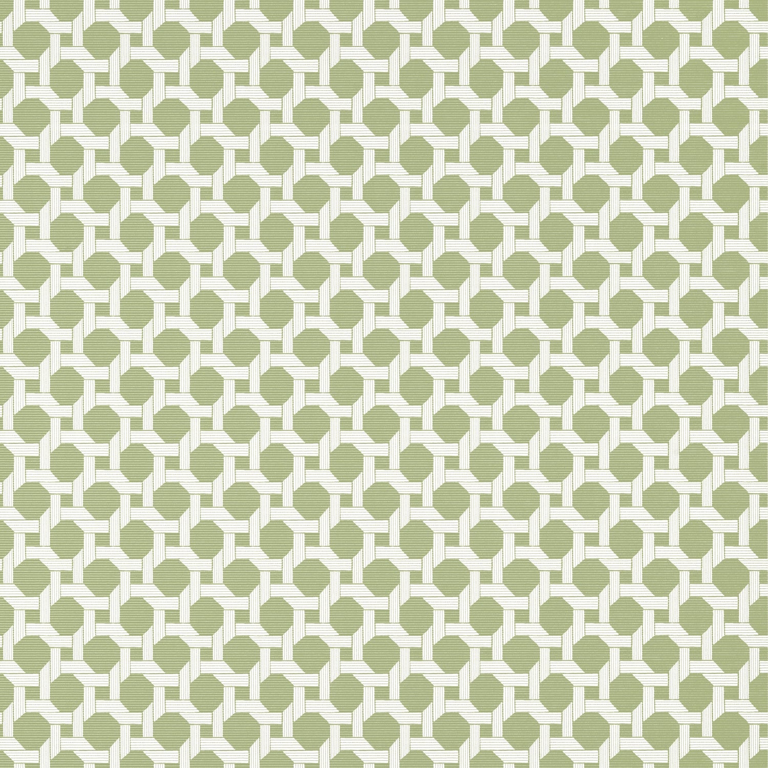 Charter wallpaper in sage color - pattern number T13959 - by Thibaut in the Palm Grove collection