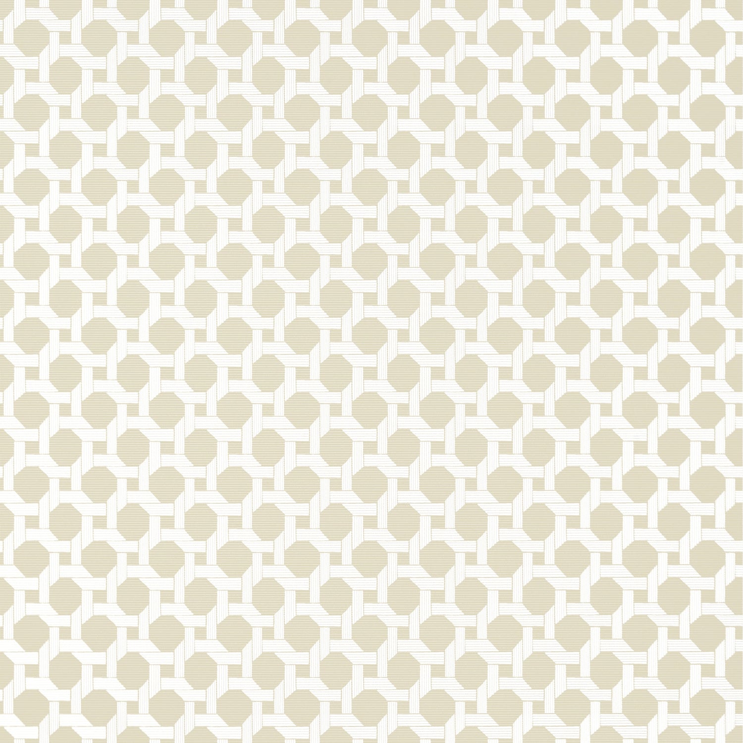 Charter wallpaper in beige color - pattern number T13961 - by Thibaut in the Palm Grove collection