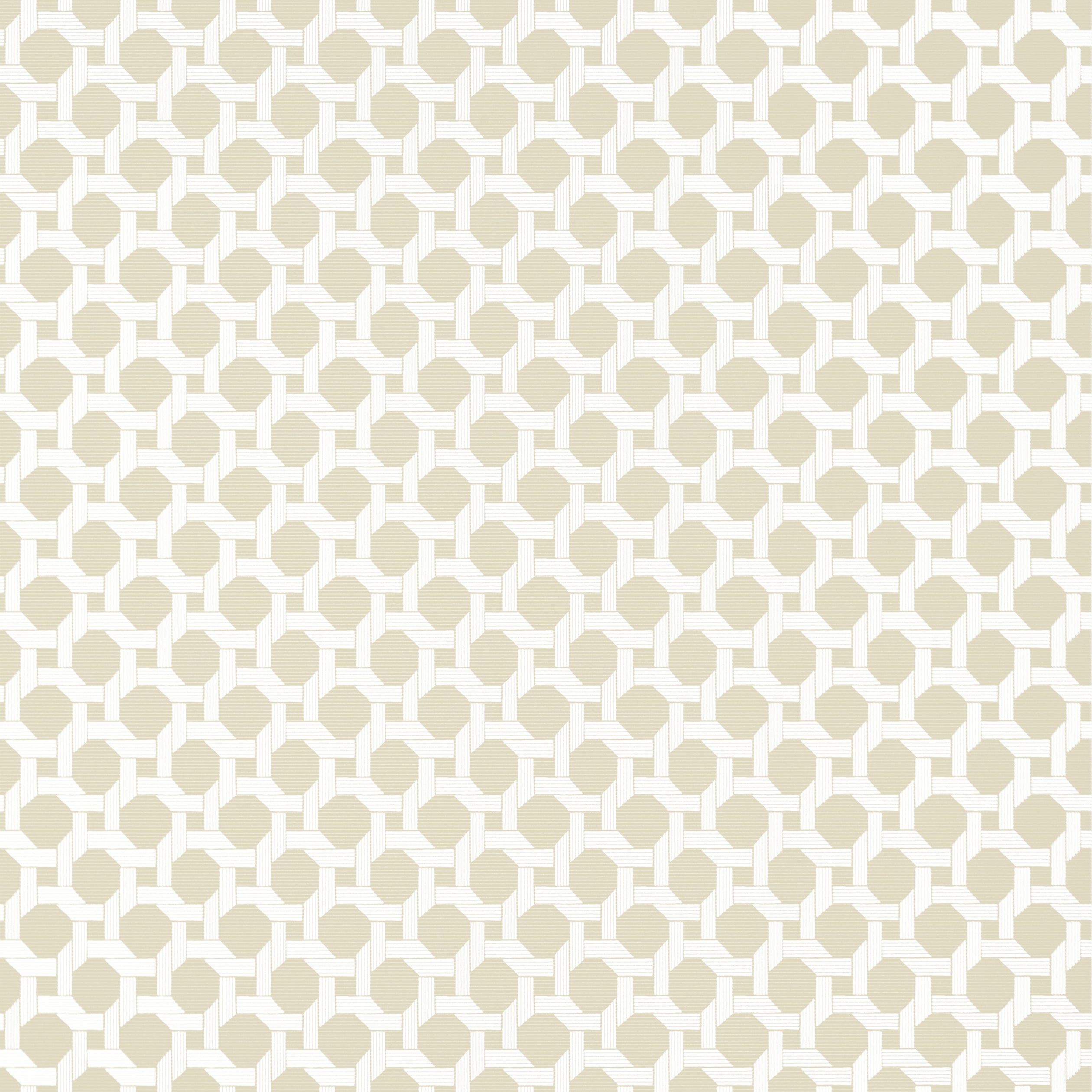 Charter wallpaper in beige color - pattern number T13961 - by Thibaut in the Palm Grove collection