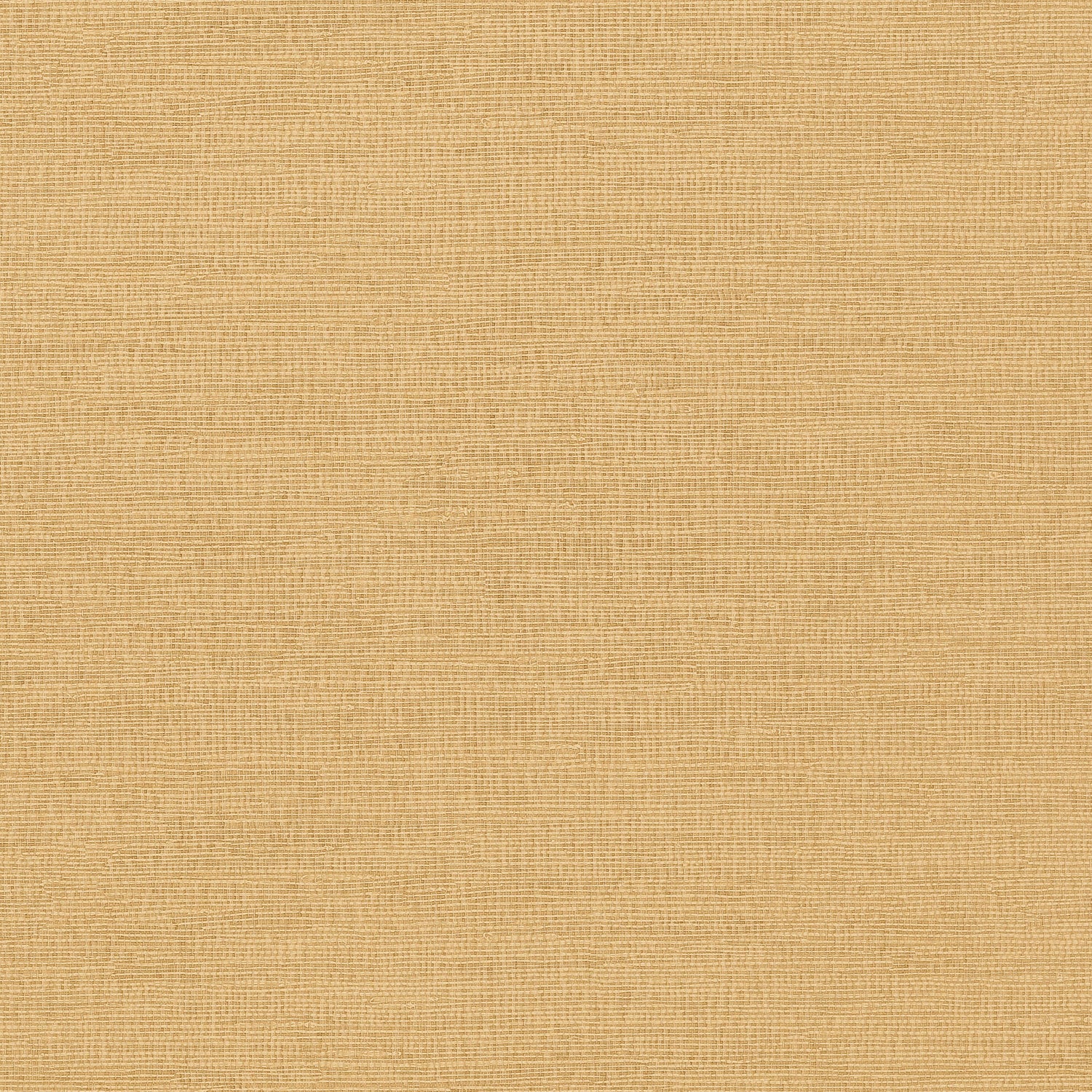 Coastal Sisal wallpaper in tobacco color - pattern number T14105 - by Thibaut in the Texture Resource Volume 4 collection