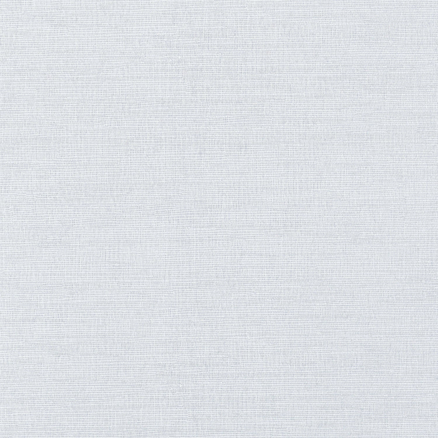Coastal Sisal wallpaper in ice color - pattern number T14114 - by Thibaut in the Texture Resource Volume 4 collection