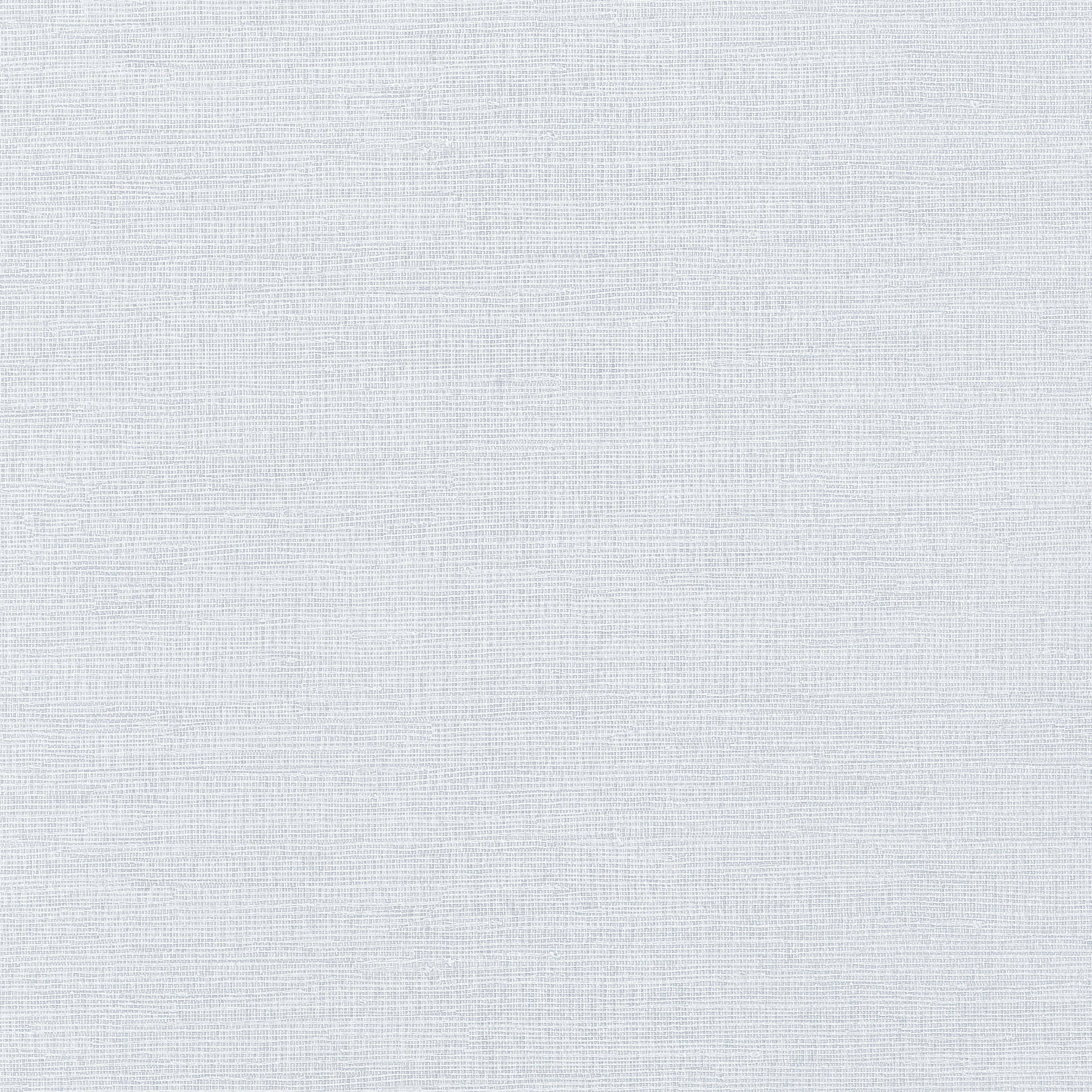 Coastal Sisal wallpaper in ice color - pattern number T14114 - by Thibaut in the Texture Resource Volume 4 collection