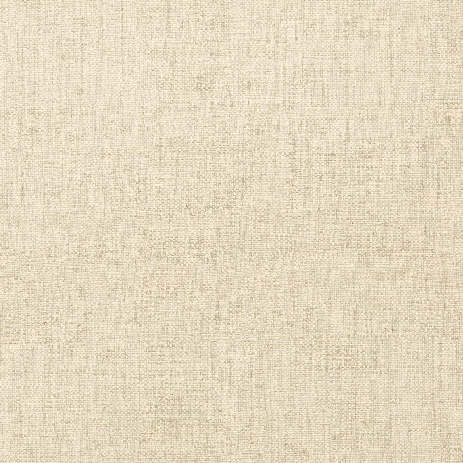 Bankun Raffia wallpaper in biscuit color - pattern number T14135 - by Thibaut in the Texture Resource Volume 8 collection