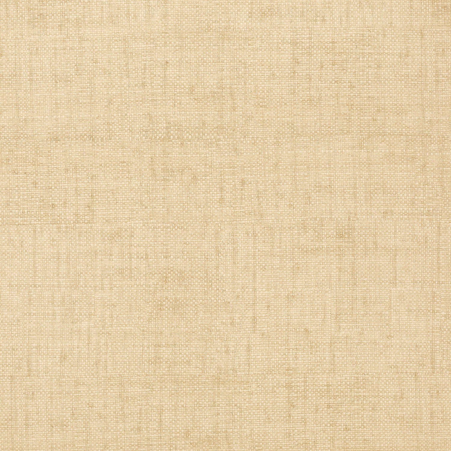 Bankun Raffia wallpaper in wheat color - pattern number T14136 - by Thibaut in the Texture Resource Volume 8 collection