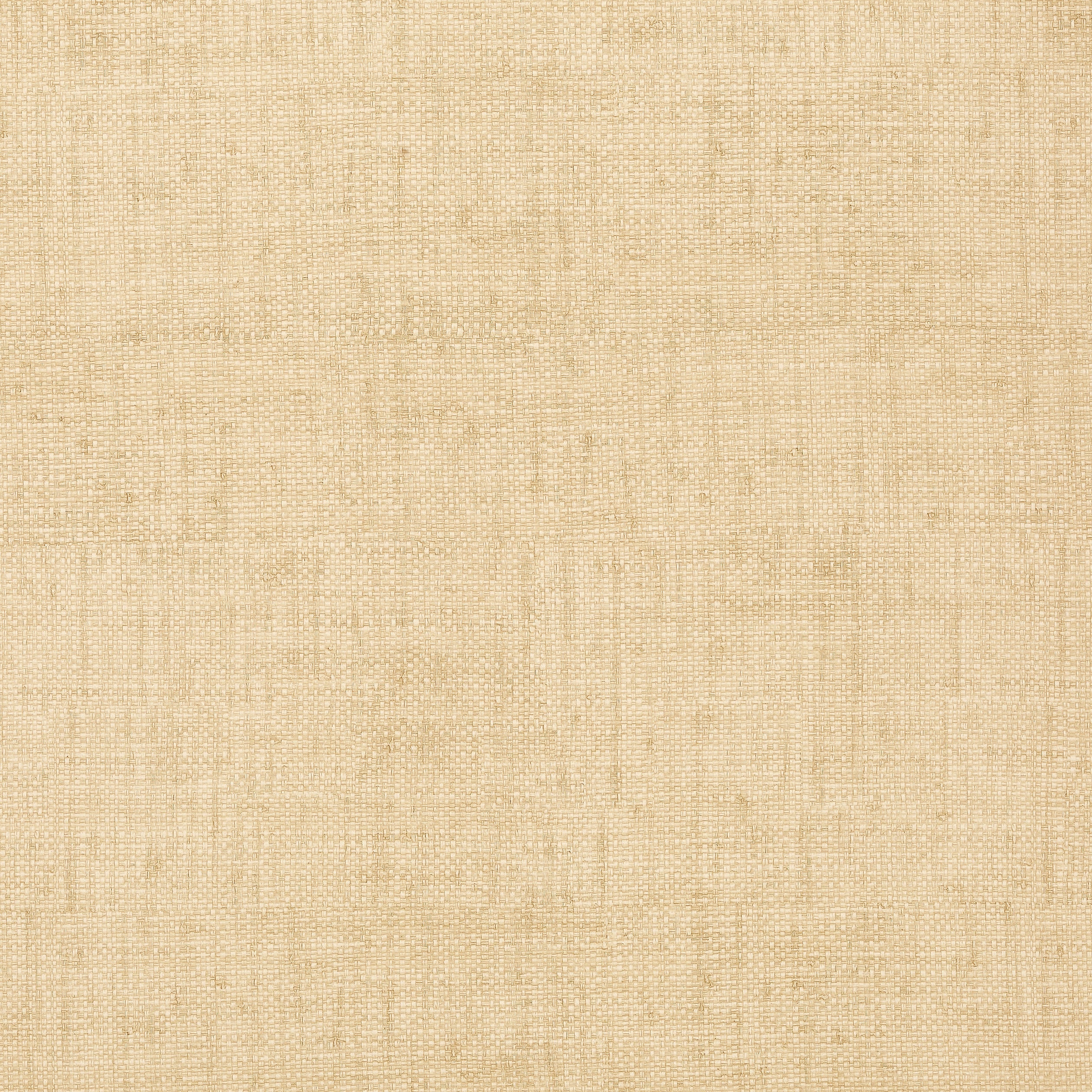 Bankun Raffia wallpaper in wheat color - pattern number T14136 - by Thibaut in the Texture Resource Volume 8 collection