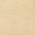 Bankun Raffia wallpaper in wheat color - pattern number T14136 - by Thibaut in the Texture Resource Volume 8 collection