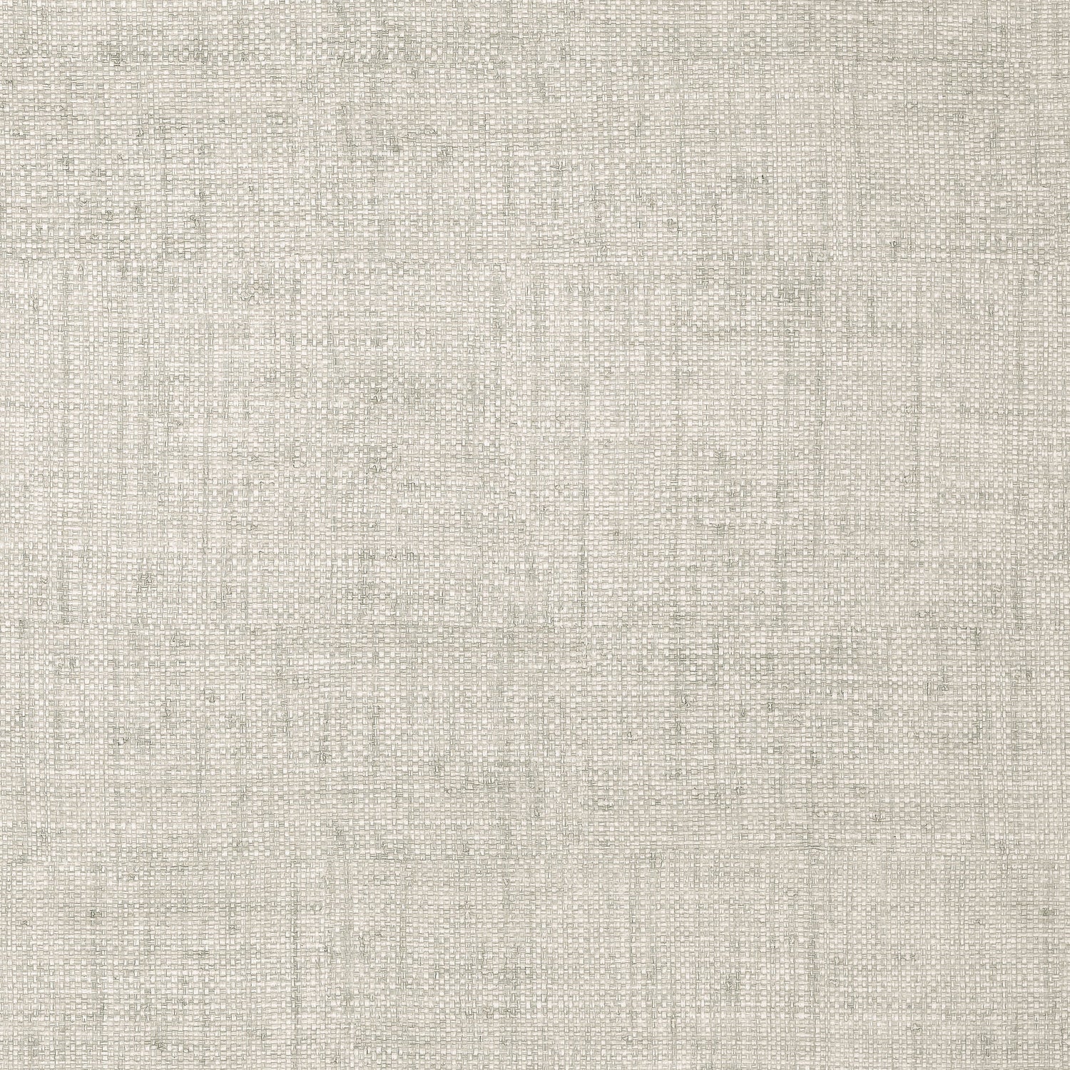 Bankun Raffia wallpaper in light grey color - pattern number T14138 - by Thibaut in the Texture Resource Volume 8 collection