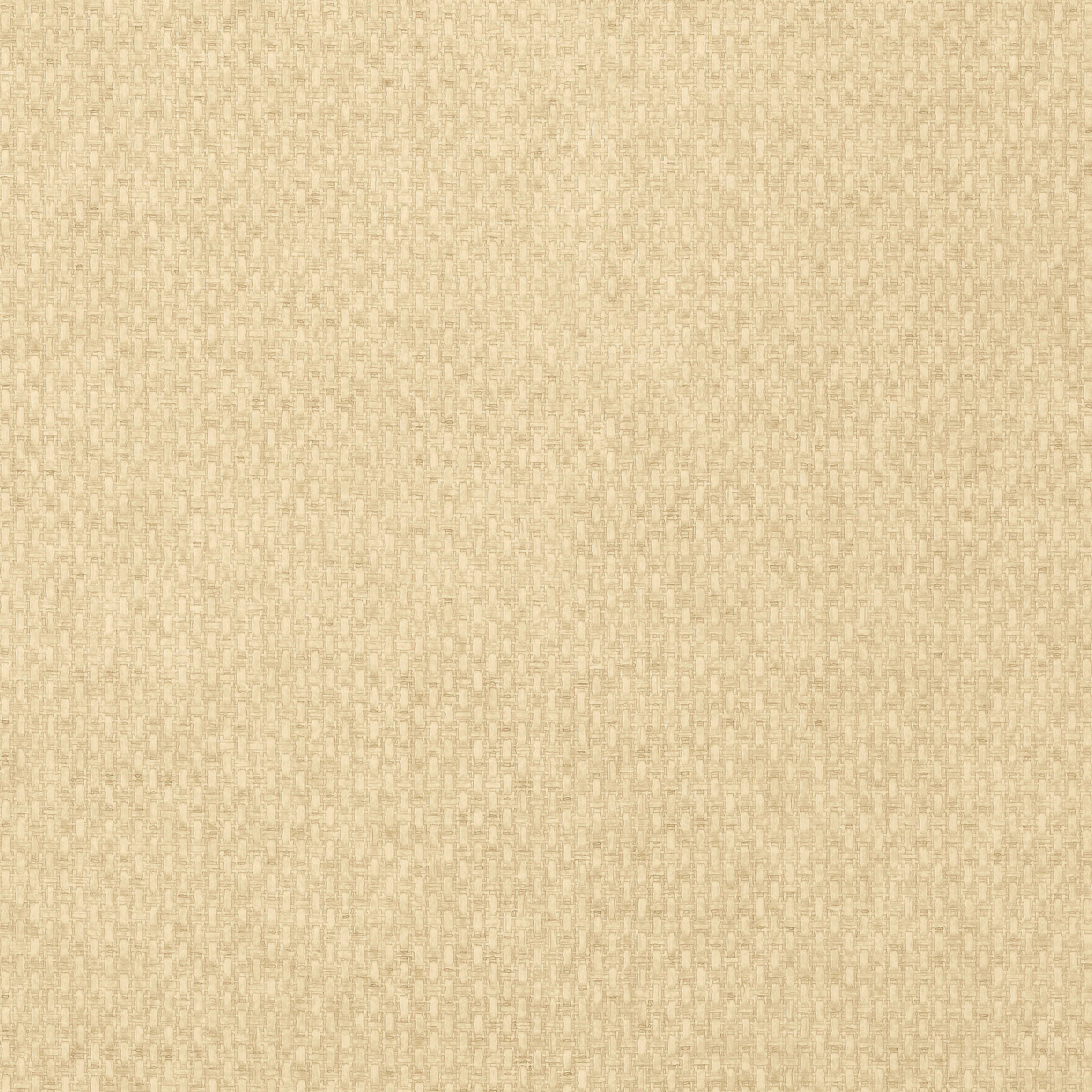 Monaco wallpaper in sand color - pattern number T14167 - by Thibaut in the Texture Resource Volume 4 collection