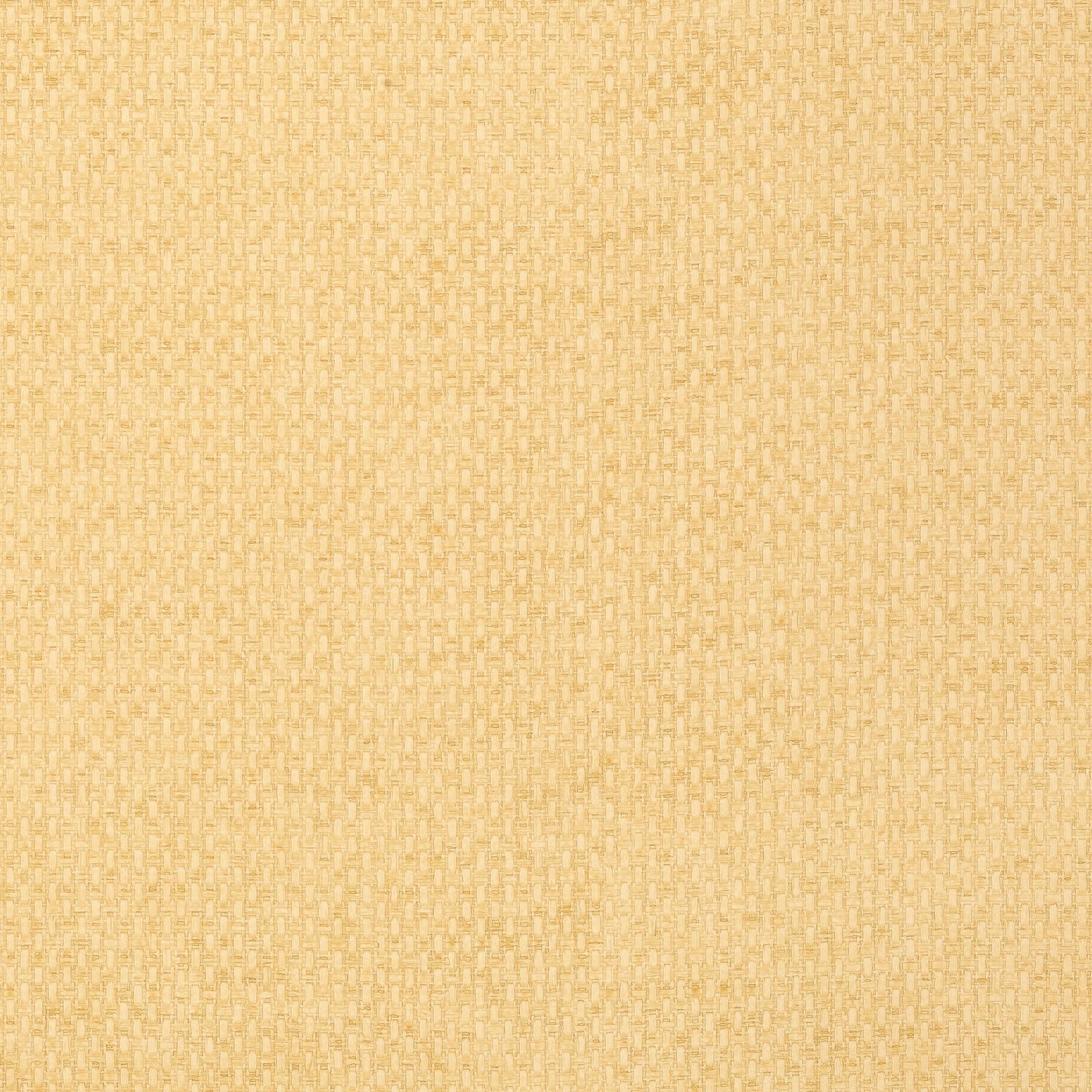 Monaco wallpaper in straw color - pattern number T14171 - by Thibaut in the Texture Resource Volume 4 collection