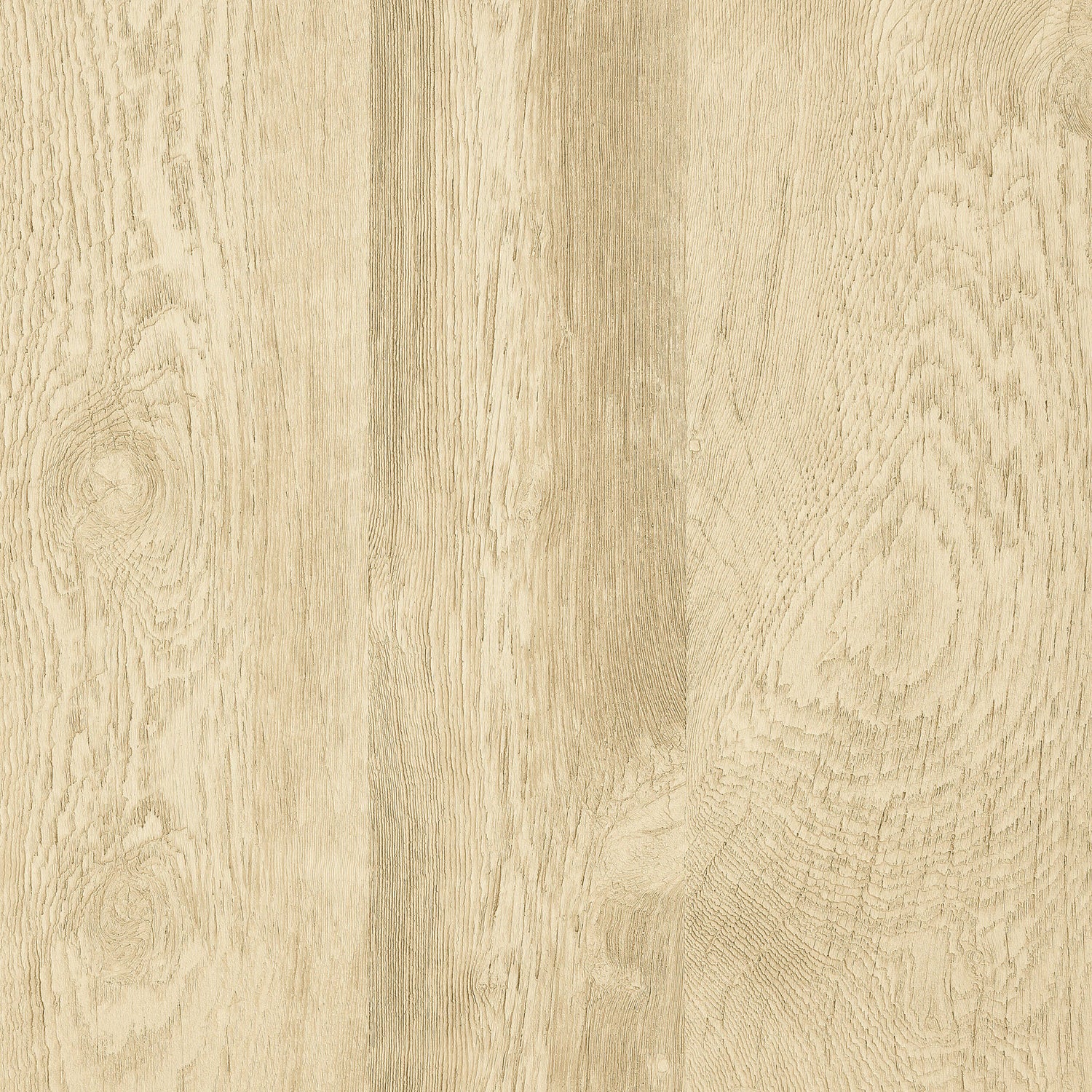 Eastwood Cream T14175 Wallpaper by Thibaut - Wallpapers To Go, image size:1500x1500