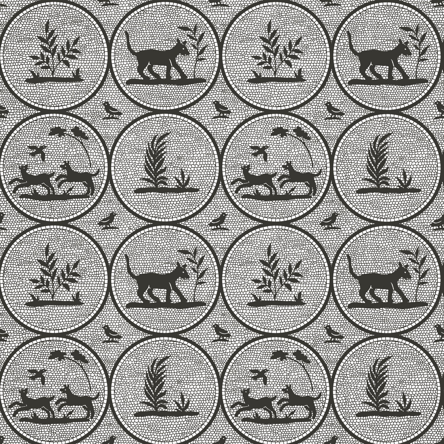 Dooley wallpaper in black color - pattern number T14347 - by Thibaut in the Canopy collection