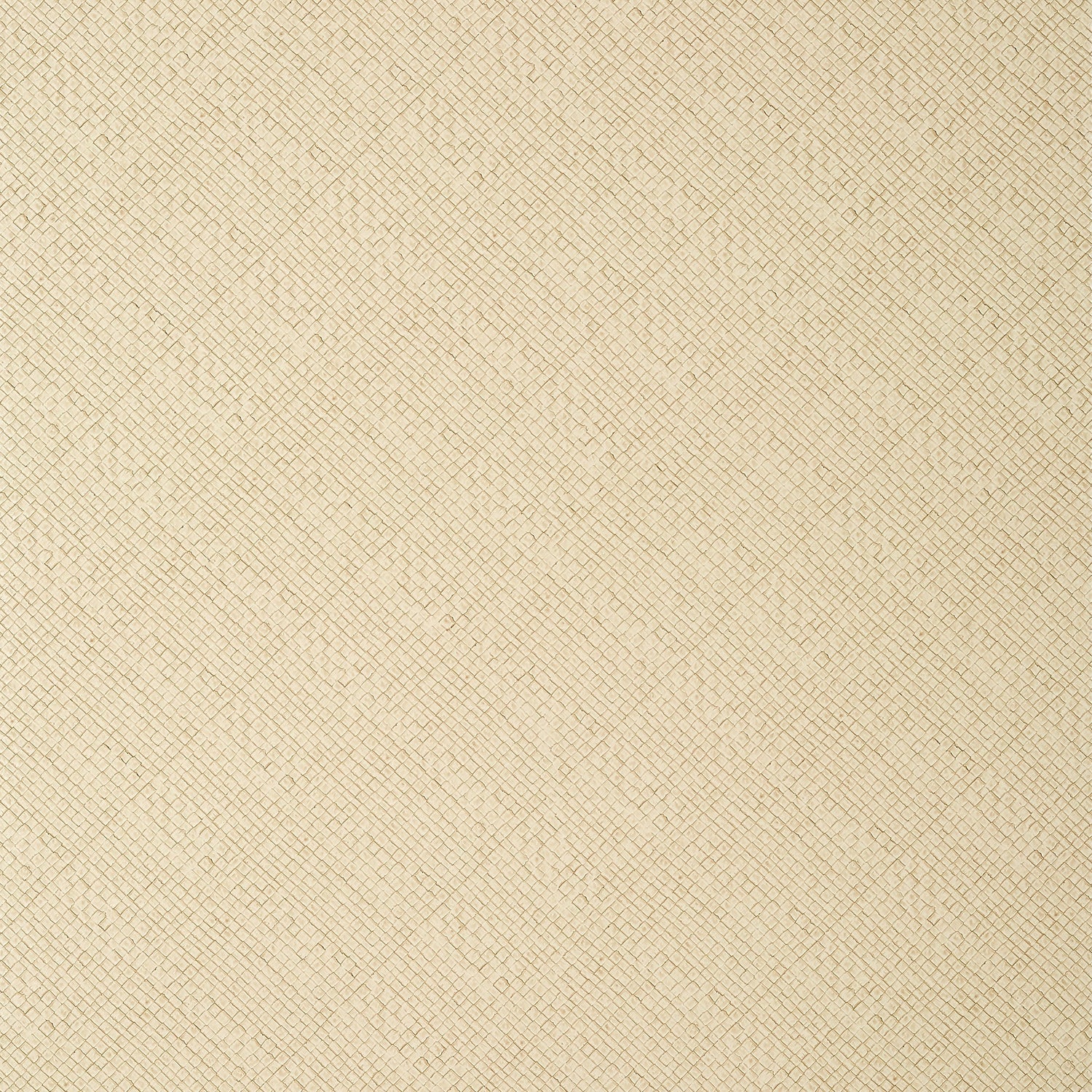 Jackson Weave wallpaper in cashmere color - pattern number T14503 - by Thibaut in the Texture Resource Volume 8 collection