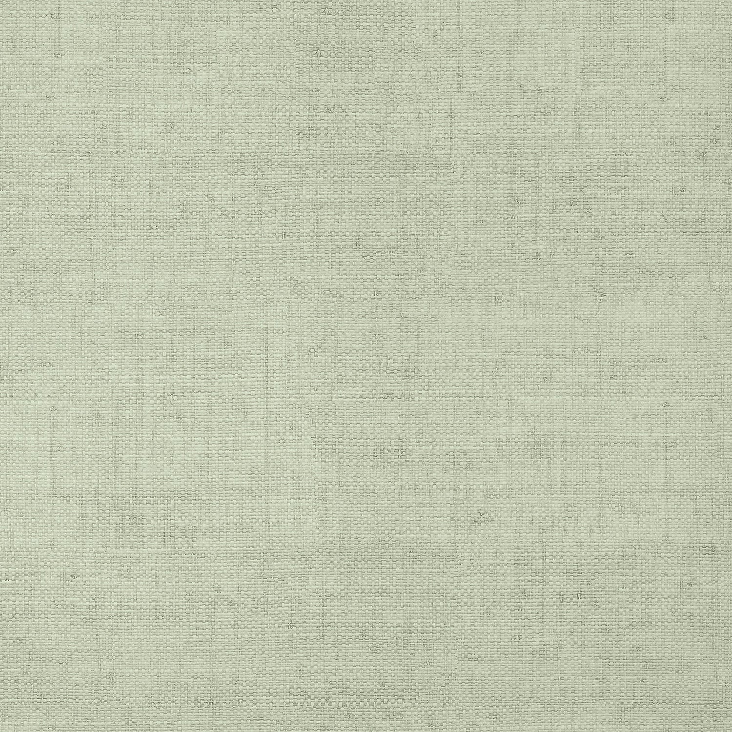 Bankun Raffia wallpaper in willow color - pattern number T14512 - by Thibaut in the Texture Resource Volume 8 collection