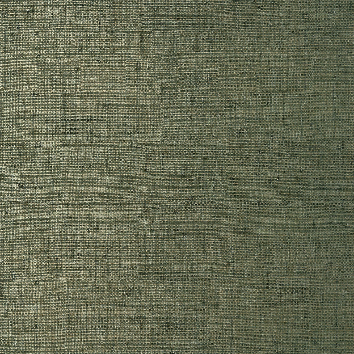 Bankun Raffia wallpaper in forest color - pattern number T14513 - by Thibaut in the Texture Resource Volume 8 collection