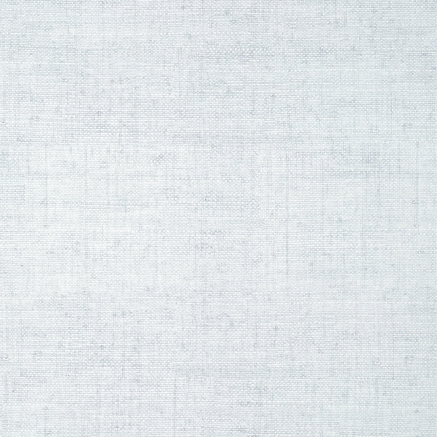 Bankun Raffia wallpaper in ice color - pattern number T14517 - by Thibaut in the Texture Resource Volume 8 collection