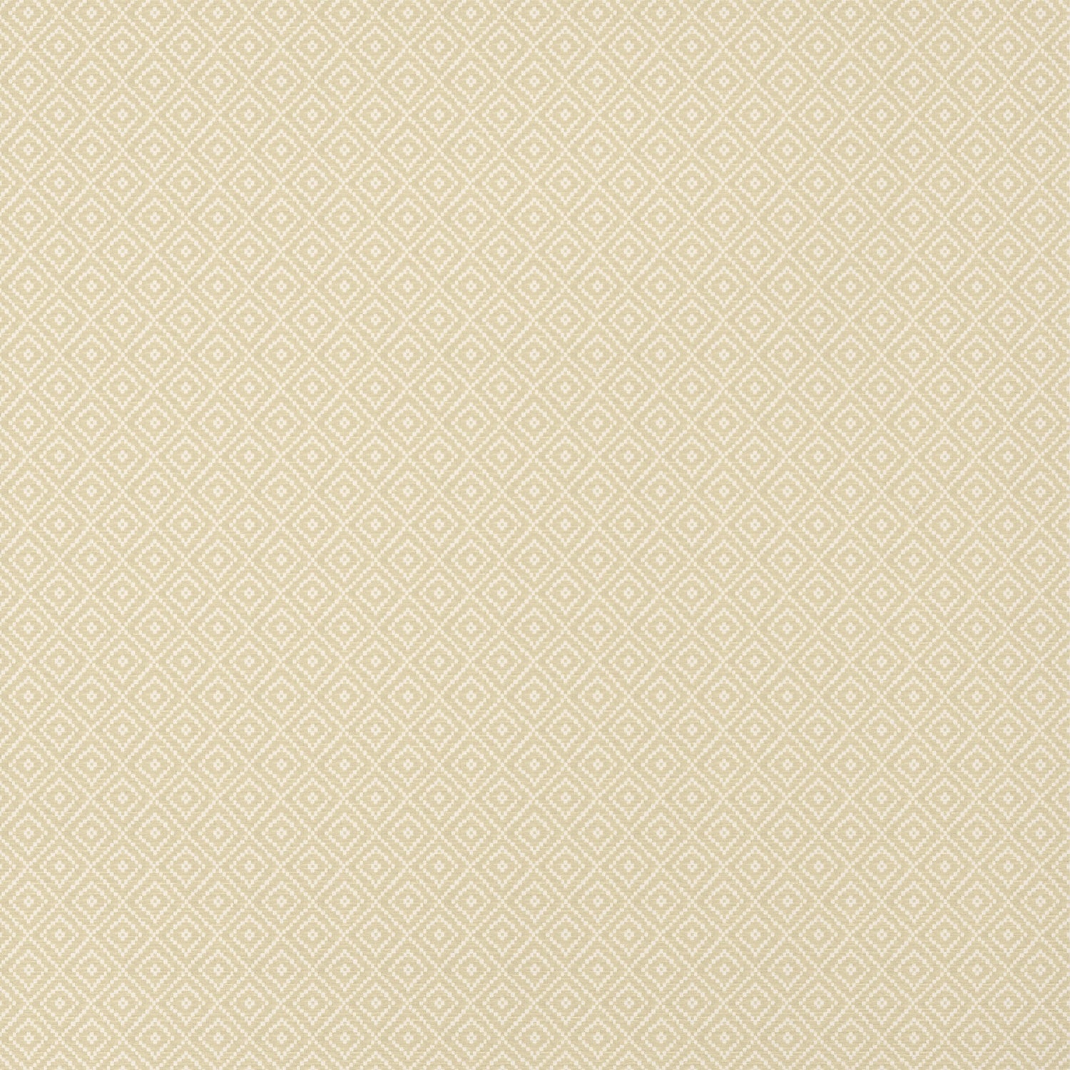 Rimba wallpaper in camel color - pattern number T14539 - by Thibaut in the Texture Resource Volume 8 collection