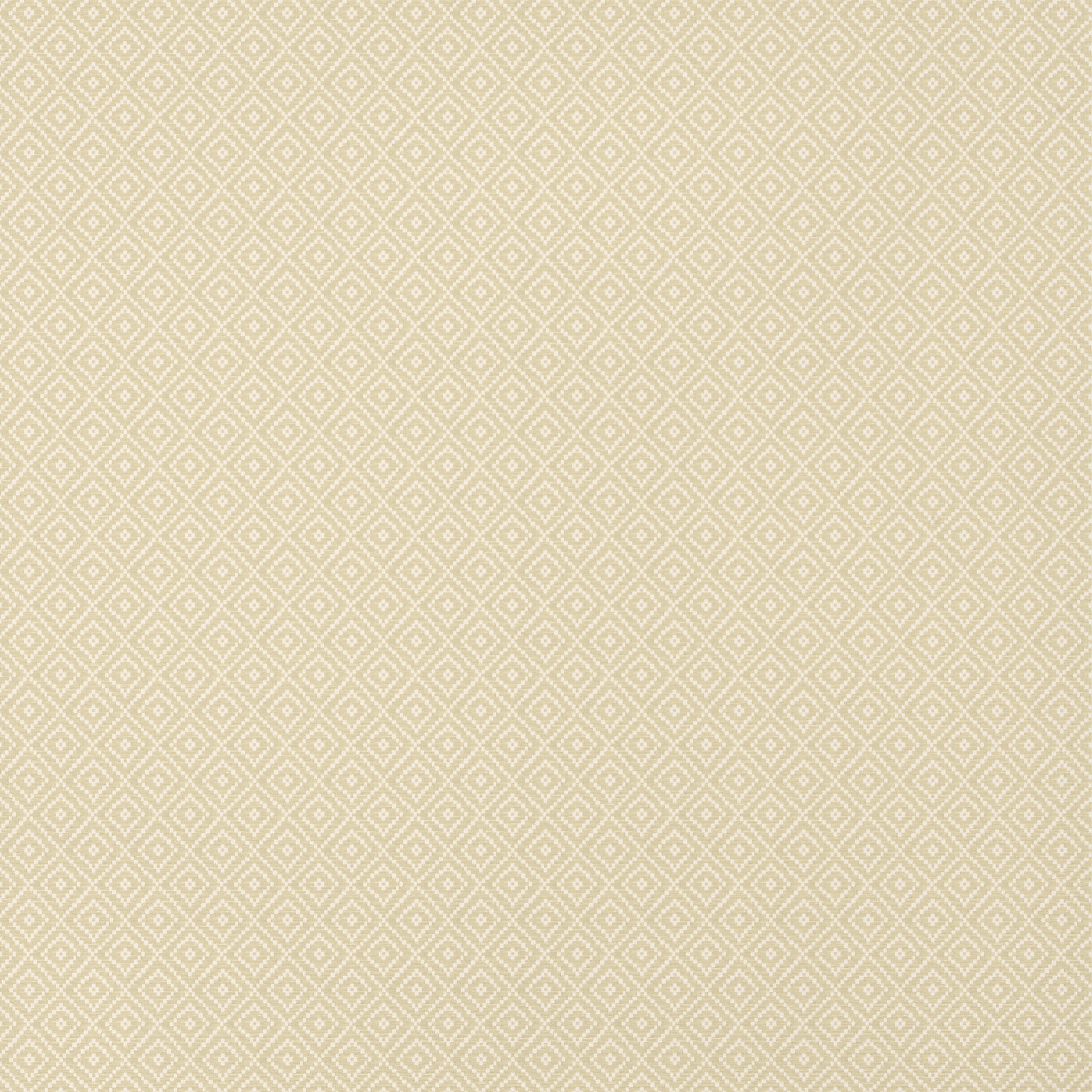 Rimba wallpaper in camel color - pattern number T14539 - by Thibaut in the Texture Resource Volume 8 collection