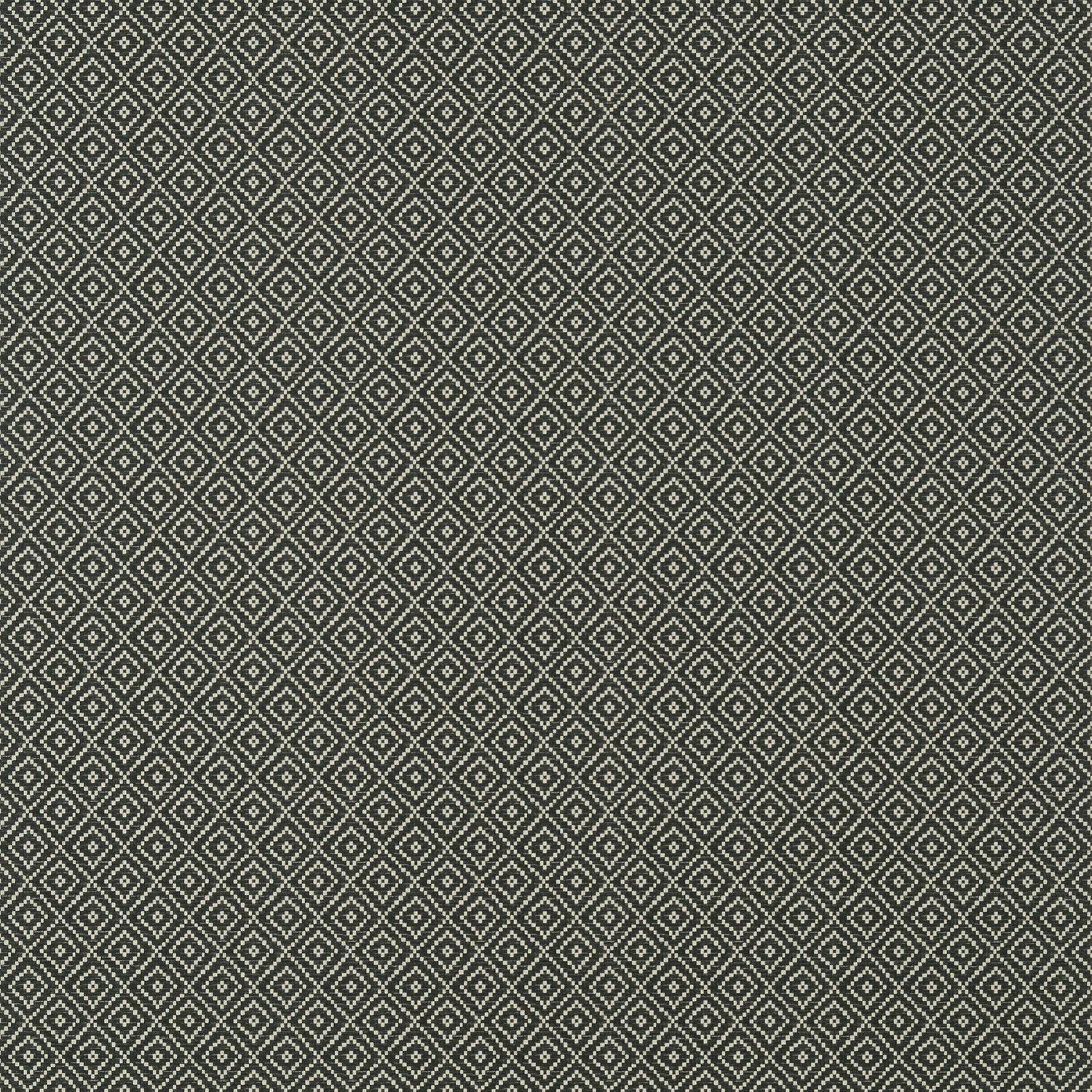Rimba wallpaper in black color - pattern number T14546 - by Thibaut in the Texture Resource Volume 8 collection