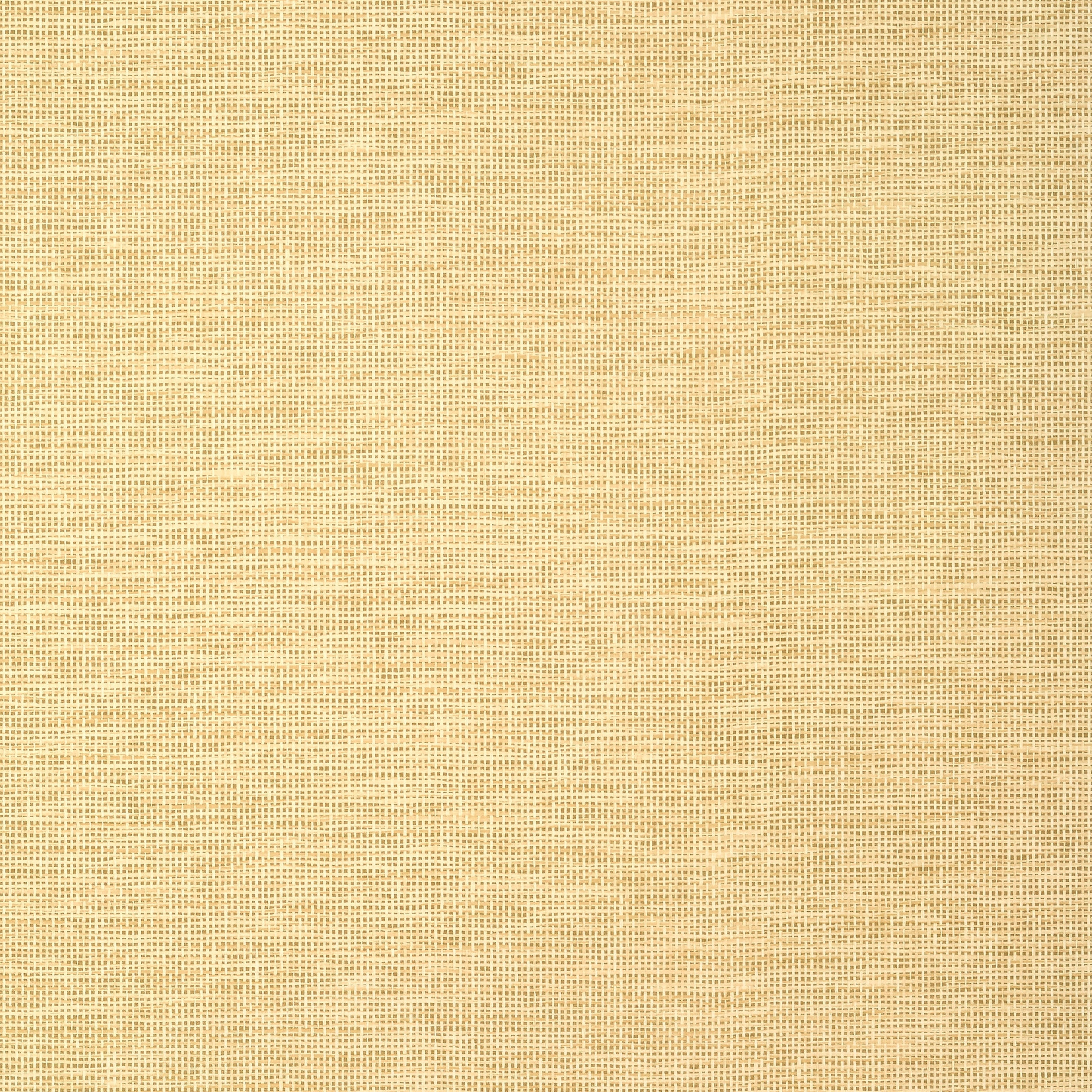 Spiro wallpaper in straw color - pattern number T14564 - by Thibaut in the Texture Resource Volume 8 collection