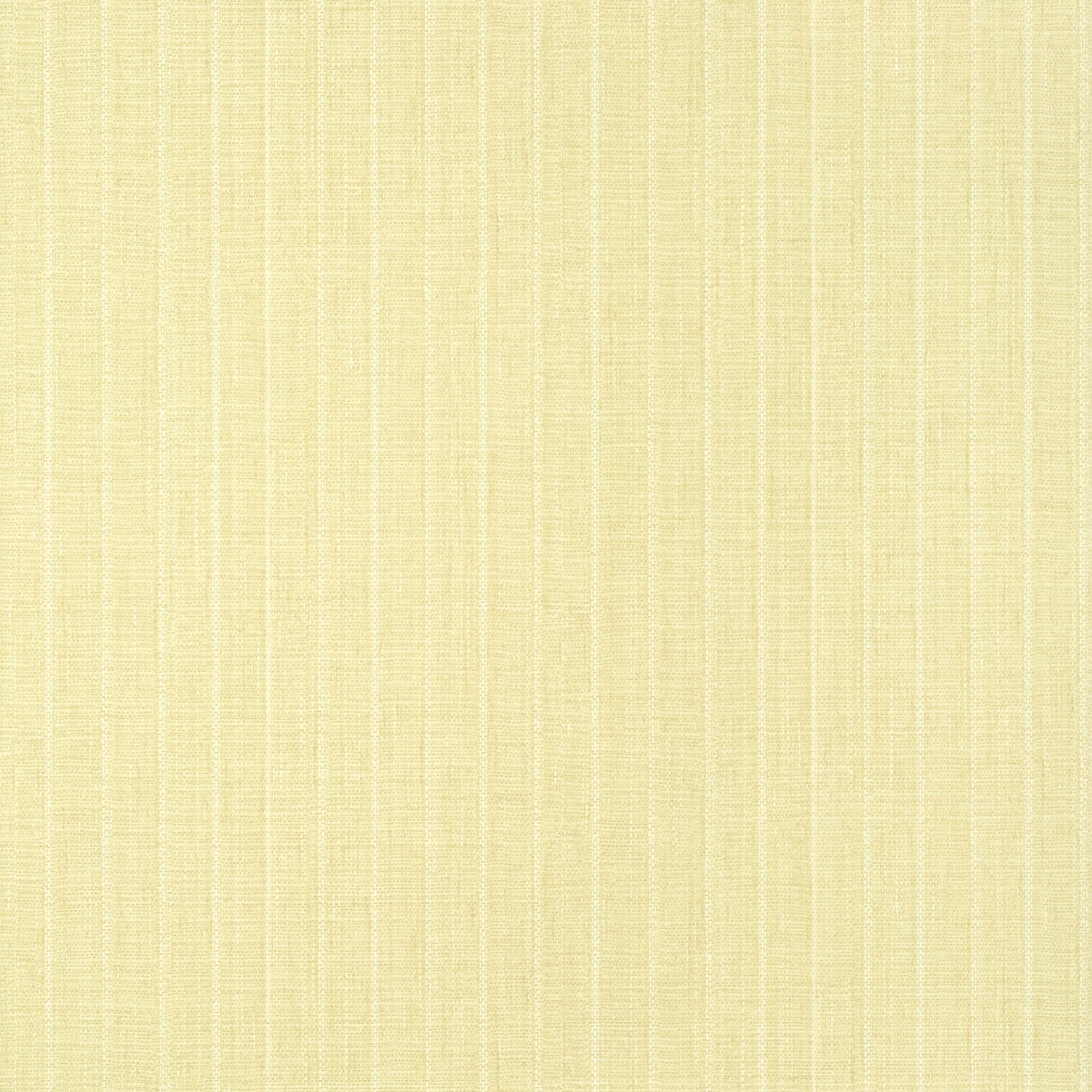 Woolston wallpaper in yellow color - pattern number T14581 - by Thibaut in the Texture Resource Volume 8 collection