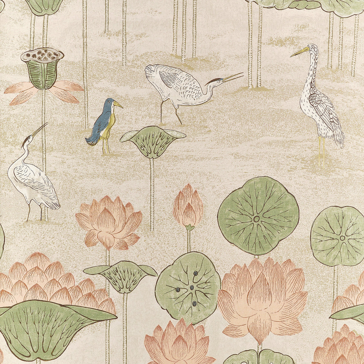 Malea Wallpaper in Apricot color - pattern number T14635 - by Thibaut in the Fairhaven collection
