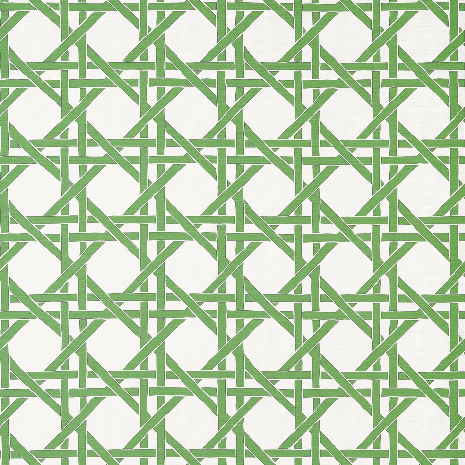 Canary Trellis fabric in green color - pattern number T15819 - by Thibaut in the Islander collection
